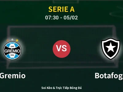 Kết Quả: Gremio 5-3 Botafogo – Highlight & Bàn Thắng | Serie A