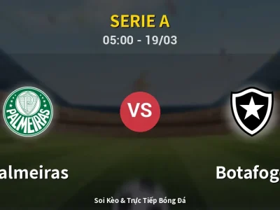 Kết Quả: Palmeiras 2-1 Botafogo – Highlight & Bàn Thắng | Serie A