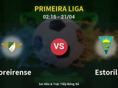 Kết Quả: Moreirense 1-0 Estoril – Highlight & Bàn Thắng | Primeira Liga