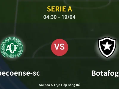 Kết Quả: Chapecoense-sc 1-4 Botafogo – Highlight & Bàn Thắng | Serie A
